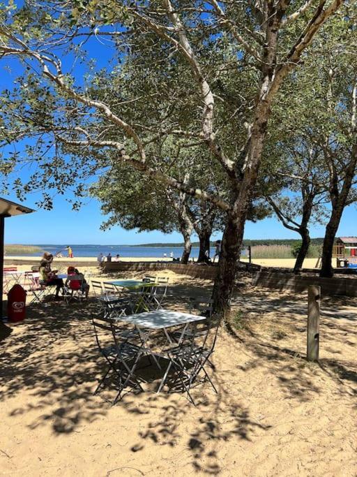 Agreable Maison Landaise Proche Du Lac サンギネ エクステリア 写真