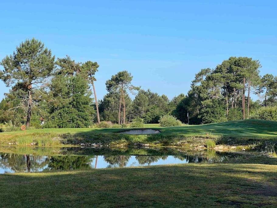 Agreable Maison Landaise Proche Du Lac サンギネ エクステリア 写真